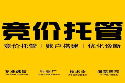轻松掌握百度包年竞价：成功案例展示